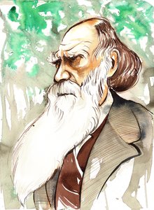 Charles Darwin (naturalista y escritor inglés, 1809-82) retrato